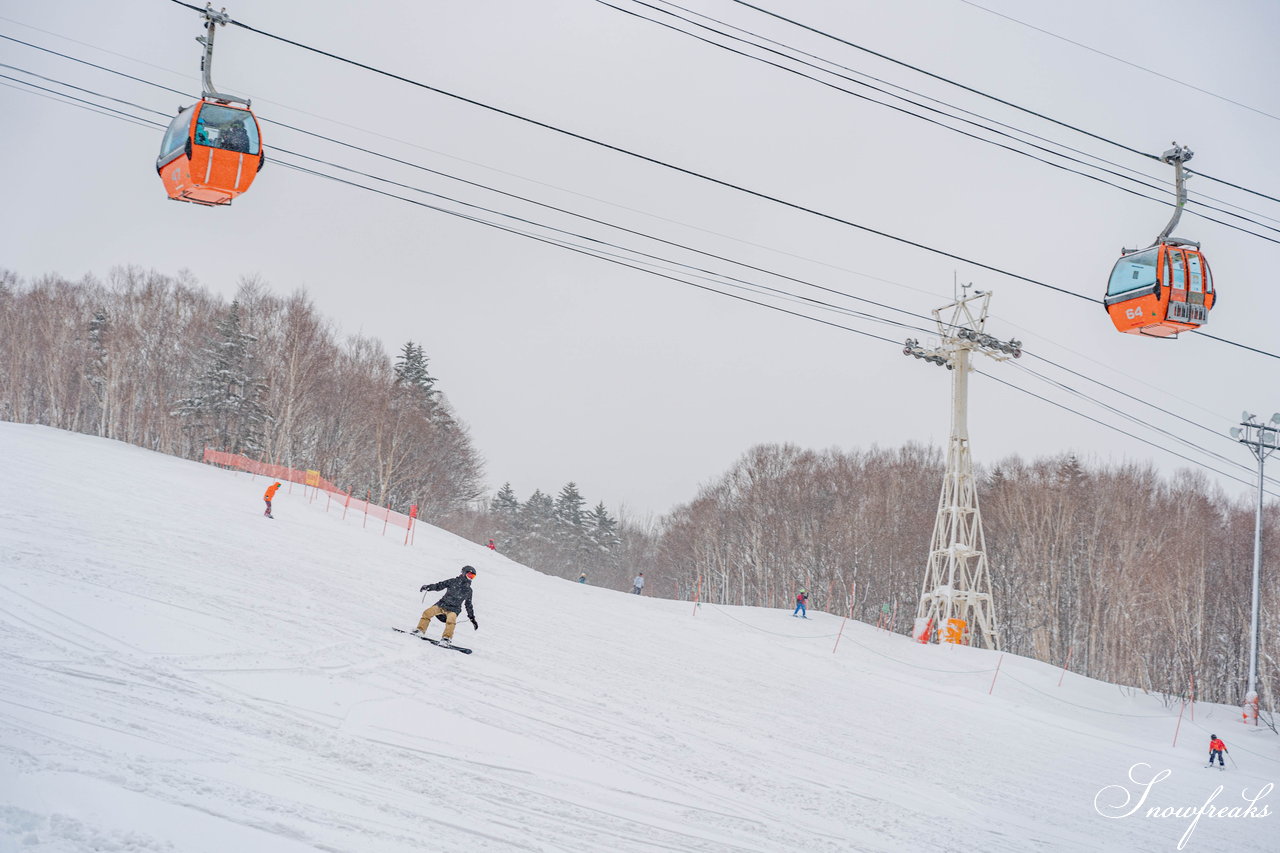 札幌国際スキー場　街は雨でも、山は雪！広々ゲレンデに思う存分シュプールを描こう(^^)/